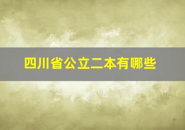 四川省公立二本有哪些