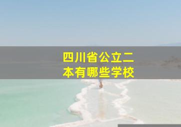 四川省公立二本有哪些学校