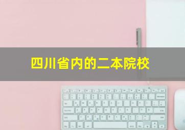 四川省内的二本院校