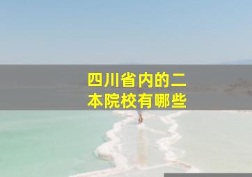 四川省内的二本院校有哪些