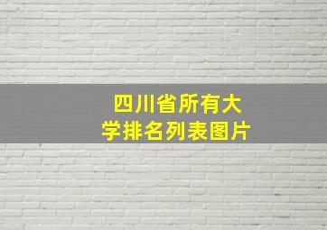 四川省所有大学排名列表图片