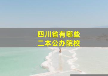 四川省有哪些二本公办院校