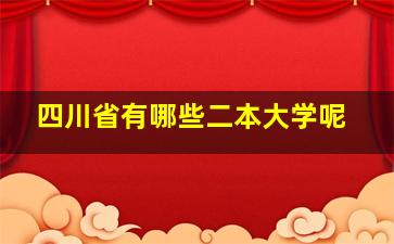 四川省有哪些二本大学呢