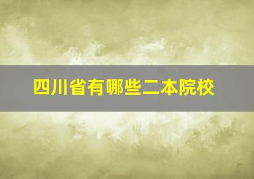 四川省有哪些二本院校