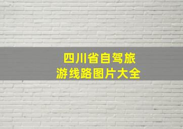 四川省自驾旅游线路图片大全