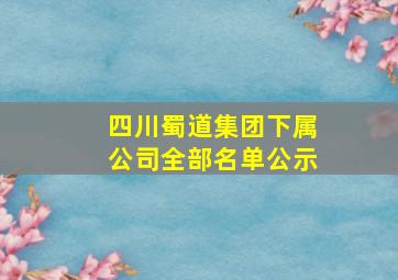 四川蜀道集团下属公司全部名单公示