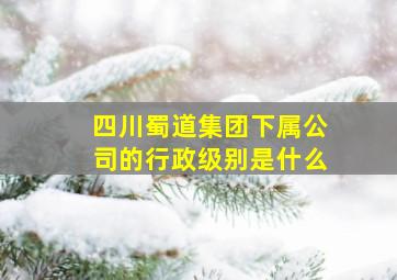 四川蜀道集团下属公司的行政级别是什么