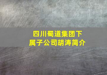 四川蜀道集团下属子公司胡涛简介