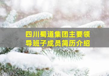 四川蜀道集团主要领导班子成员简历介绍