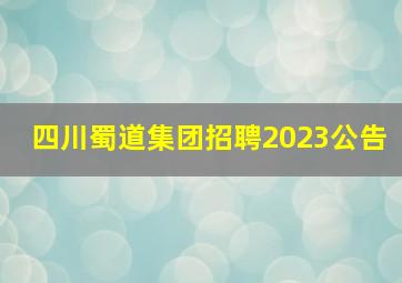 四川蜀道集团招聘2023公告