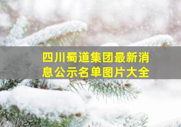 四川蜀道集团最新消息公示名单图片大全