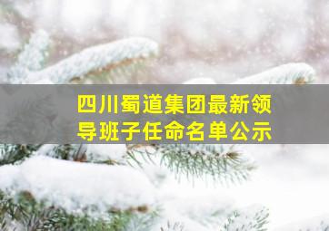 四川蜀道集团最新领导班子任命名单公示