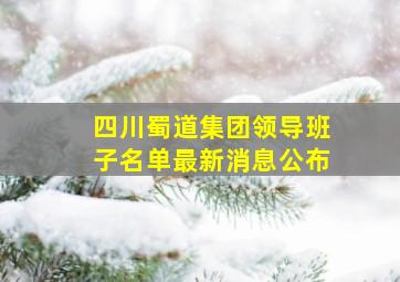 四川蜀道集团领导班子名单最新消息公布