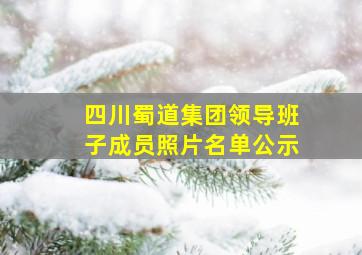 四川蜀道集团领导班子成员照片名单公示