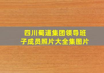 四川蜀道集团领导班子成员照片大全集图片