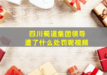 四川蜀道集团领导遭了什么处罚呢视频