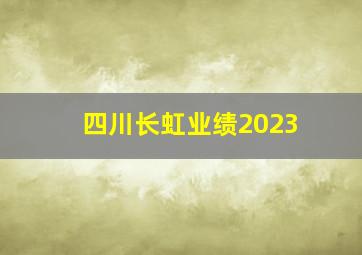 四川长虹业绩2023