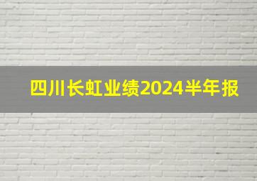 四川长虹业绩2024半年报