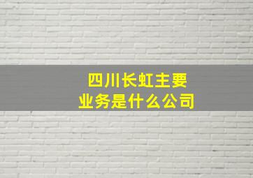 四川长虹主要业务是什么公司