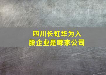 四川长虹华为入股企业是哪家公司