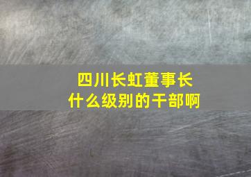 四川长虹董事长什么级别的干部啊