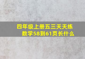 四年级上册五三天天练数学58到61页长什么