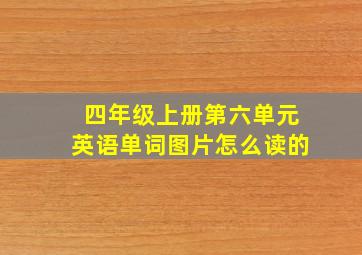 四年级上册第六单元英语单词图片怎么读的