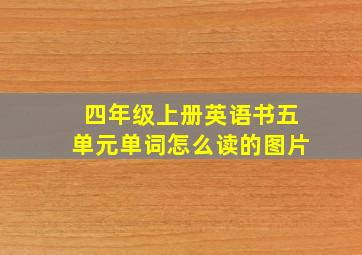 四年级上册英语书五单元单词怎么读的图片