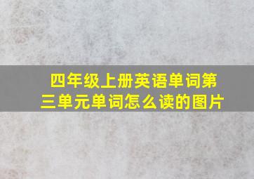 四年级上册英语单词第三单元单词怎么读的图片