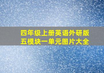 四年级上册英语外研版五模块一单元图片大全