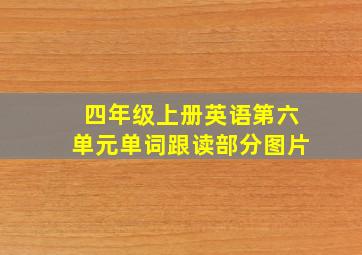 四年级上册英语第六单元单词跟读部分图片