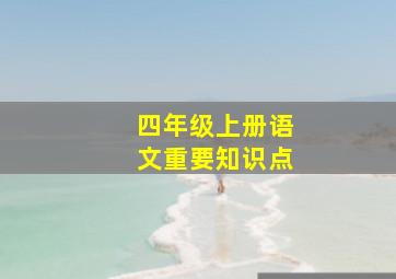 四年级上册语文重要知识点