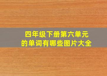 四年级下册第六单元的单词有哪些图片大全