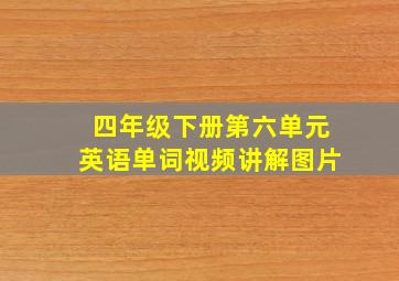 四年级下册第六单元英语单词视频讲解图片