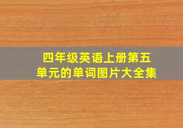 四年级英语上册第五单元的单词图片大全集