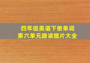 四年级英语下册单词第六单元跟读图片大全