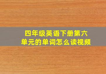 四年级英语下册第六单元的单词怎么读视频