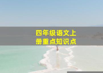 四年级语文上册重点知识点