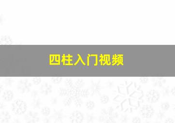 四柱入门视频