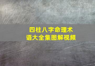 四柱八字命理术语大全集图解视频