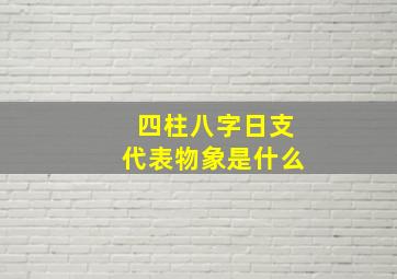 四柱八字日支代表物象是什么