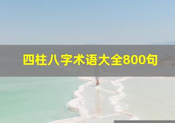 四柱八字术语大全800句