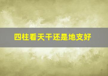 四柱看天干还是地支好