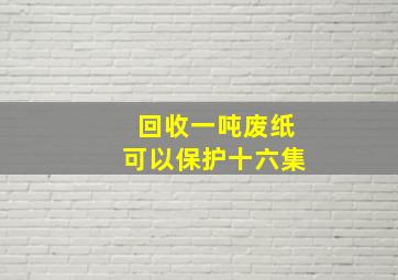 回收一吨废纸可以保护十六集