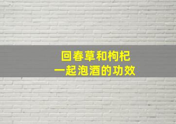 回春草和枸杞一起泡酒的功效