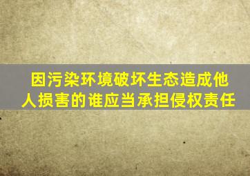 因污染环境破坏生态造成他人损害的谁应当承担侵权责任