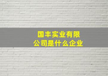 国丰实业有限公司是什么企业