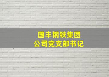 国丰钢铁集团公司党支部书记