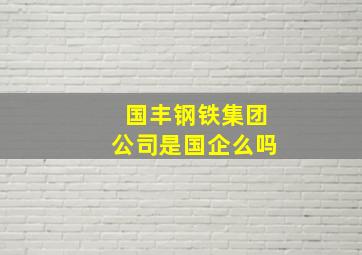 国丰钢铁集团公司是国企么吗