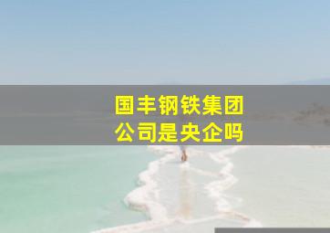 国丰钢铁集团公司是央企吗